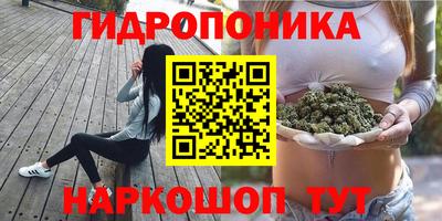 Альфа ПВП Абинск